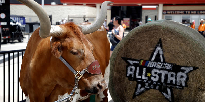Texas Longhorn NASCAR All-Star Open