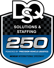 DQS Solutions & Staffing 250 logo